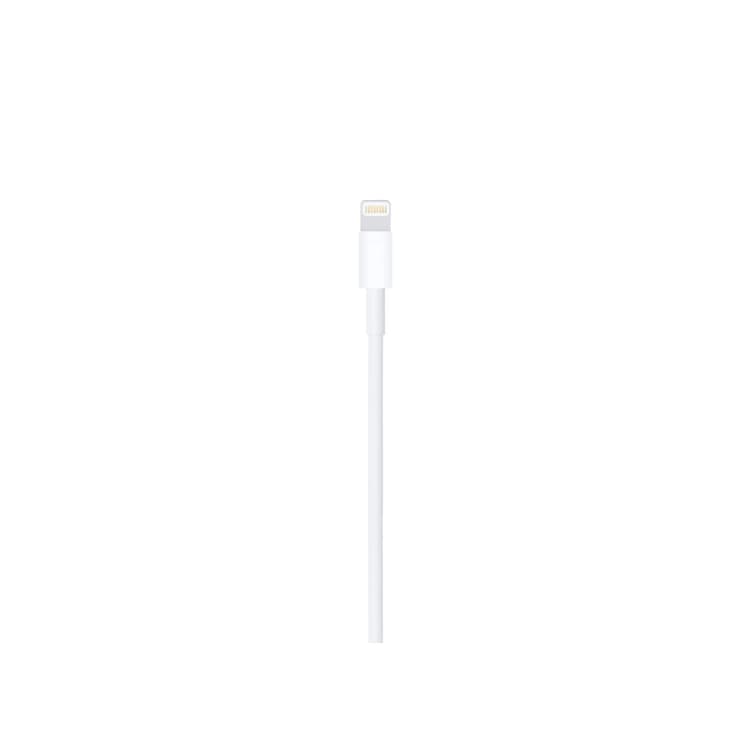 Apple Lightning to USB-A Cable (2m)