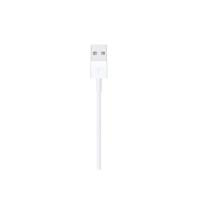 Apple Lightning to USB-A Cable (2m)