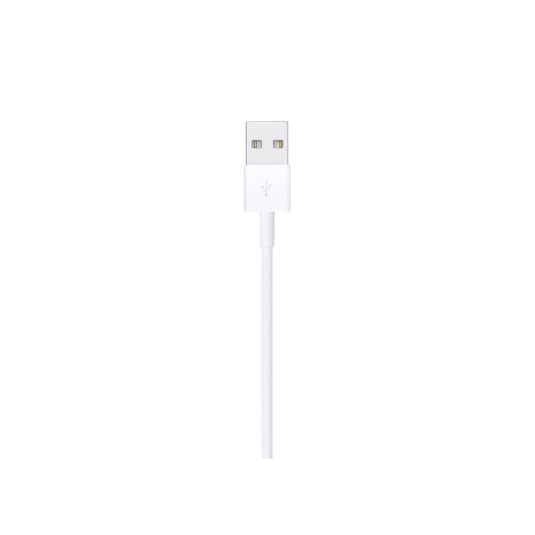 Apple Lightning to USB-A Cable (2m)