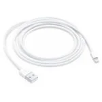 Apple Lightning to USB Cable 1M